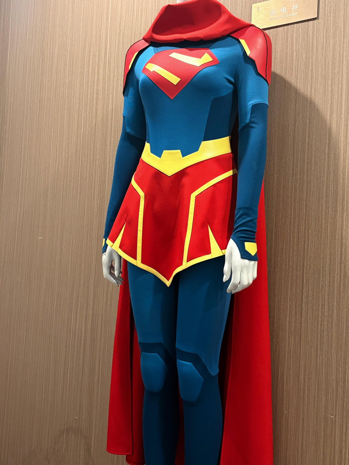 Supergirl Costume for Women - Blue and Red Superhero Dress