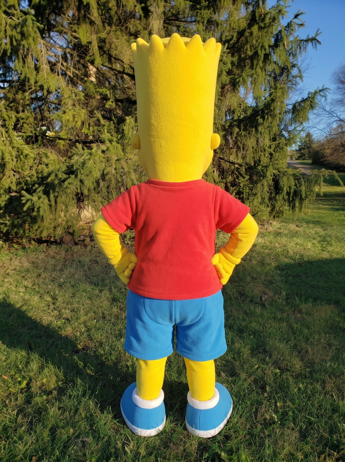 Mascot costume back view